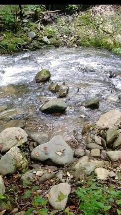 0.88 Acres of Land for Sale in Chatsworth, Georgia