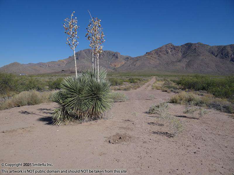9.55 Acres of Land for Sale in Rodeo, New Mexico