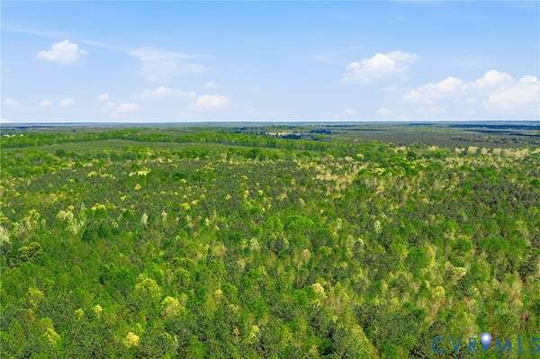 19.8 Acres of Land for Sale in Ford, Virginia