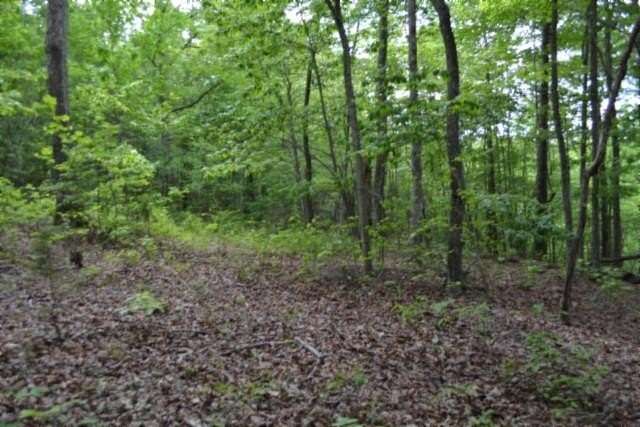 5 Acres of Residential Land for Sale in Celina, Tennessee