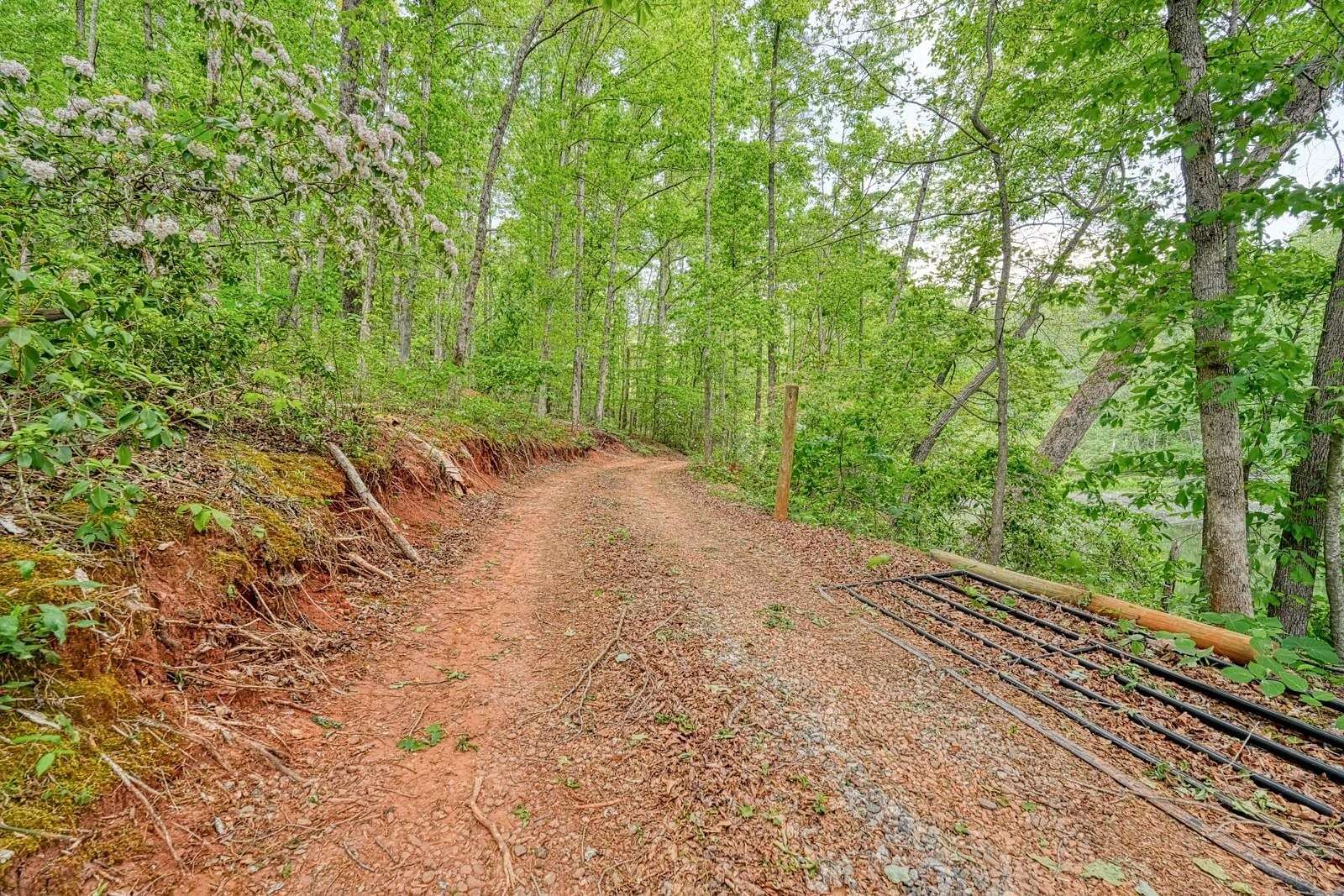 7.8 Acres of Land for Sale in Campobello, South Carolina