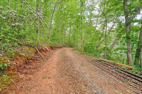 7.8 Acres of Land for Sale in Campobello, South Carolina