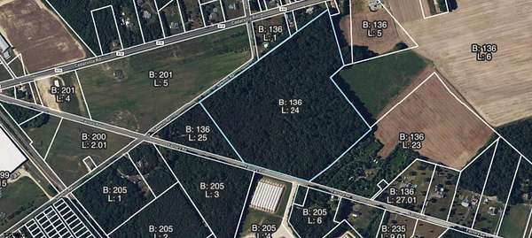 32.7 Acres of Land for Sale in Cedarville, New Jersey