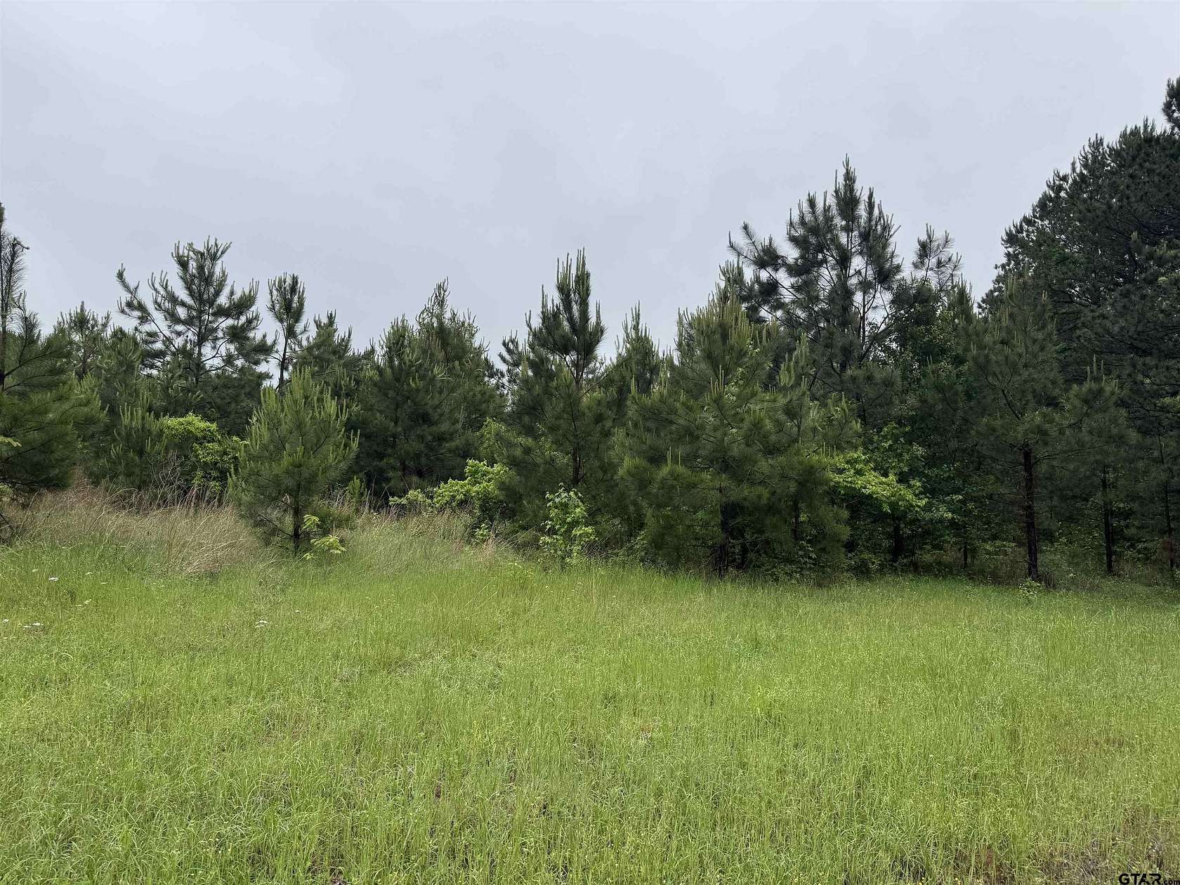 2.73 Acres of Residential Land for Sale in Naples, Texas