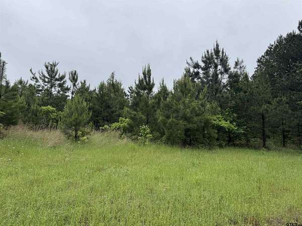 2.73 Acres of Residential Land for Sale in Naples, Texas