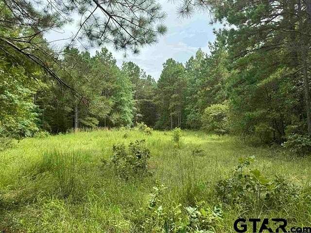 45 Acres of Recreational Land for Sale in Rusk, Texas