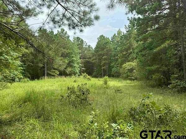 45 Acres of Recreational Land for Sale in Rusk, Texas