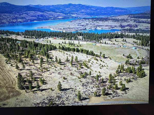 20 Acres of Land for Sale in Davenport, Washington
