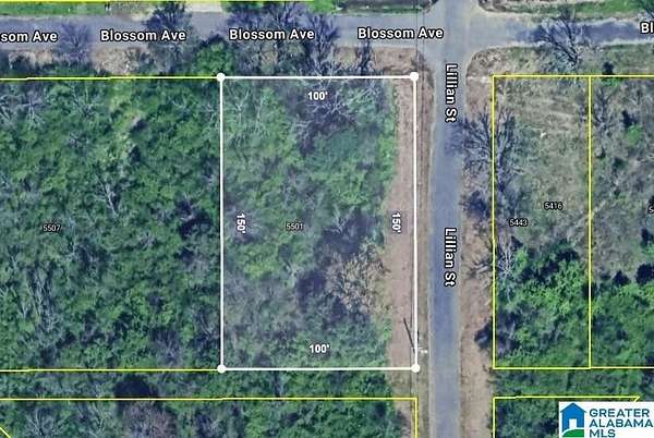 0.34 Acres of Residential Land for Sale in Birmingham, Alabama