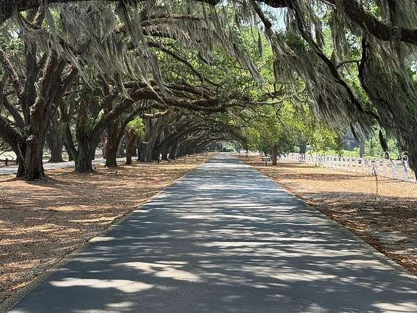 0.39 Acres of Residential Land for Sale in Bluffton, South Carolina