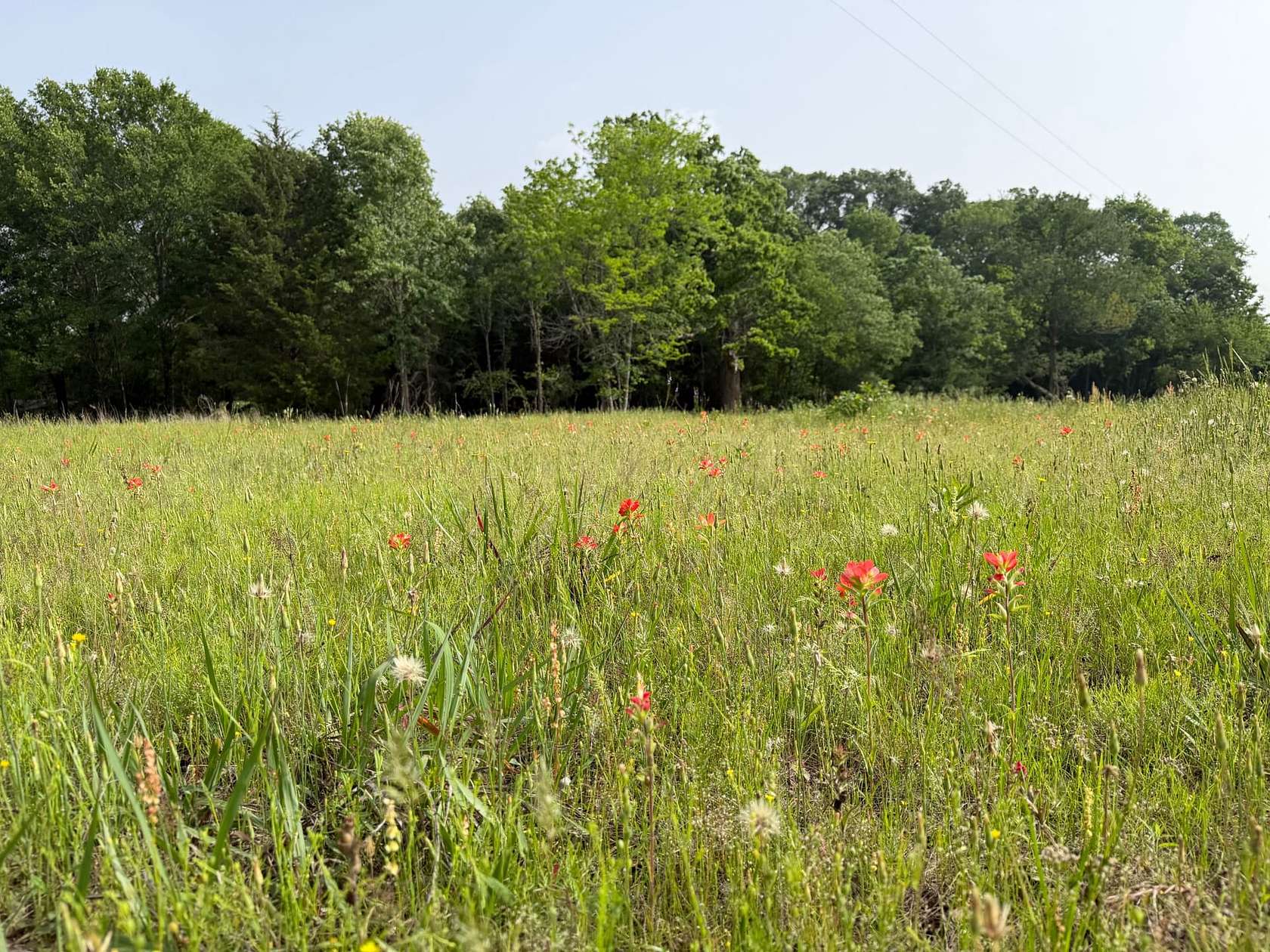 25.6 Acres of Recreational Land for Sale in Cumby, Texas