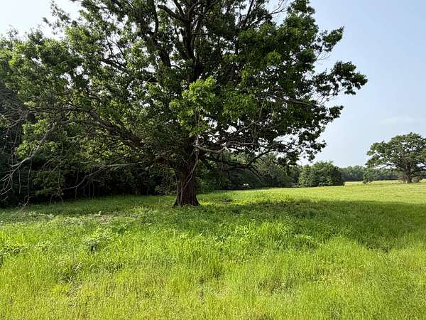 25.6 Acres of Recreational Land for Sale in Cumby, Texas