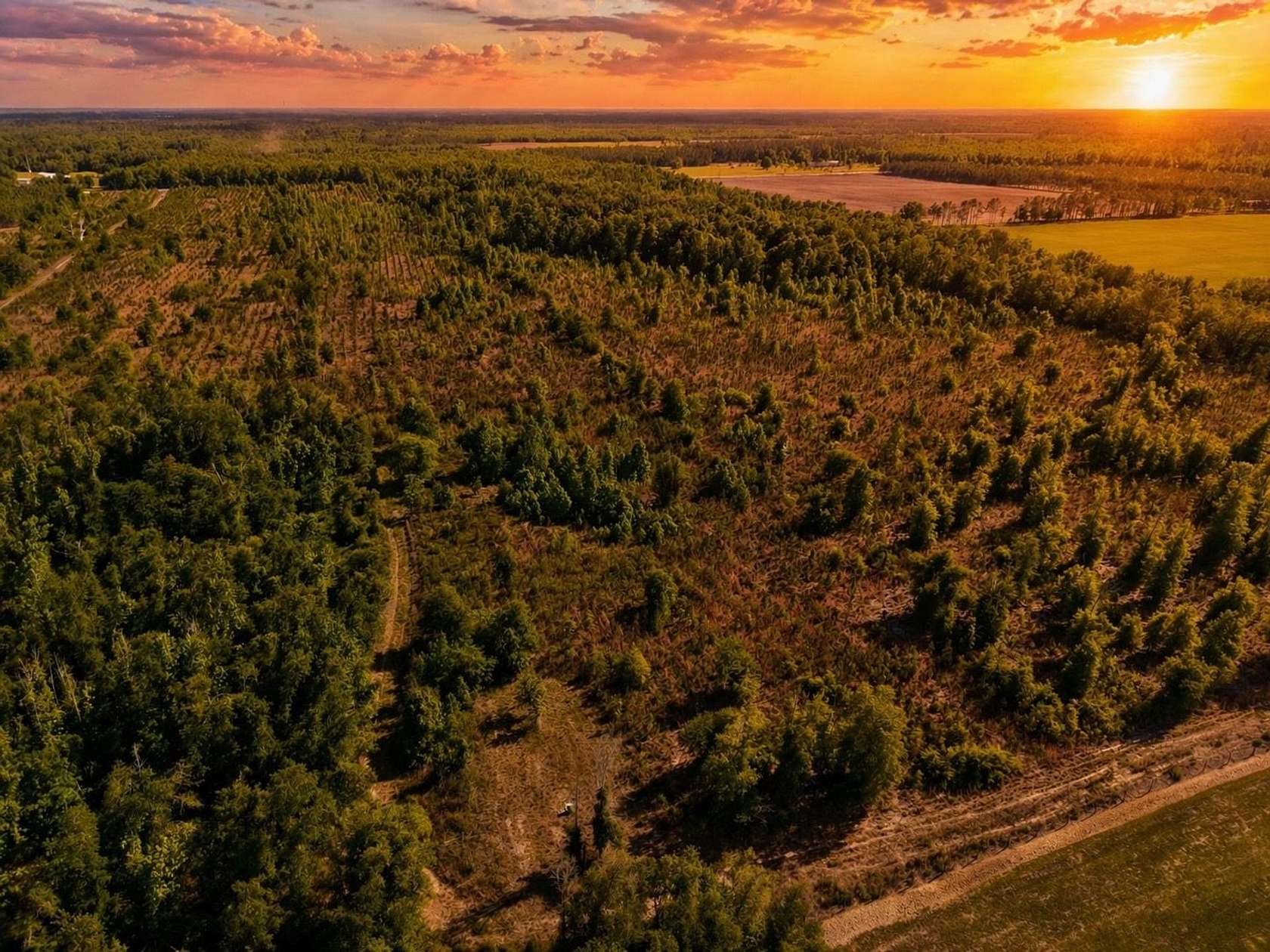 76.3 Acres of Recreational Land for Sale in Live Oak, Florida