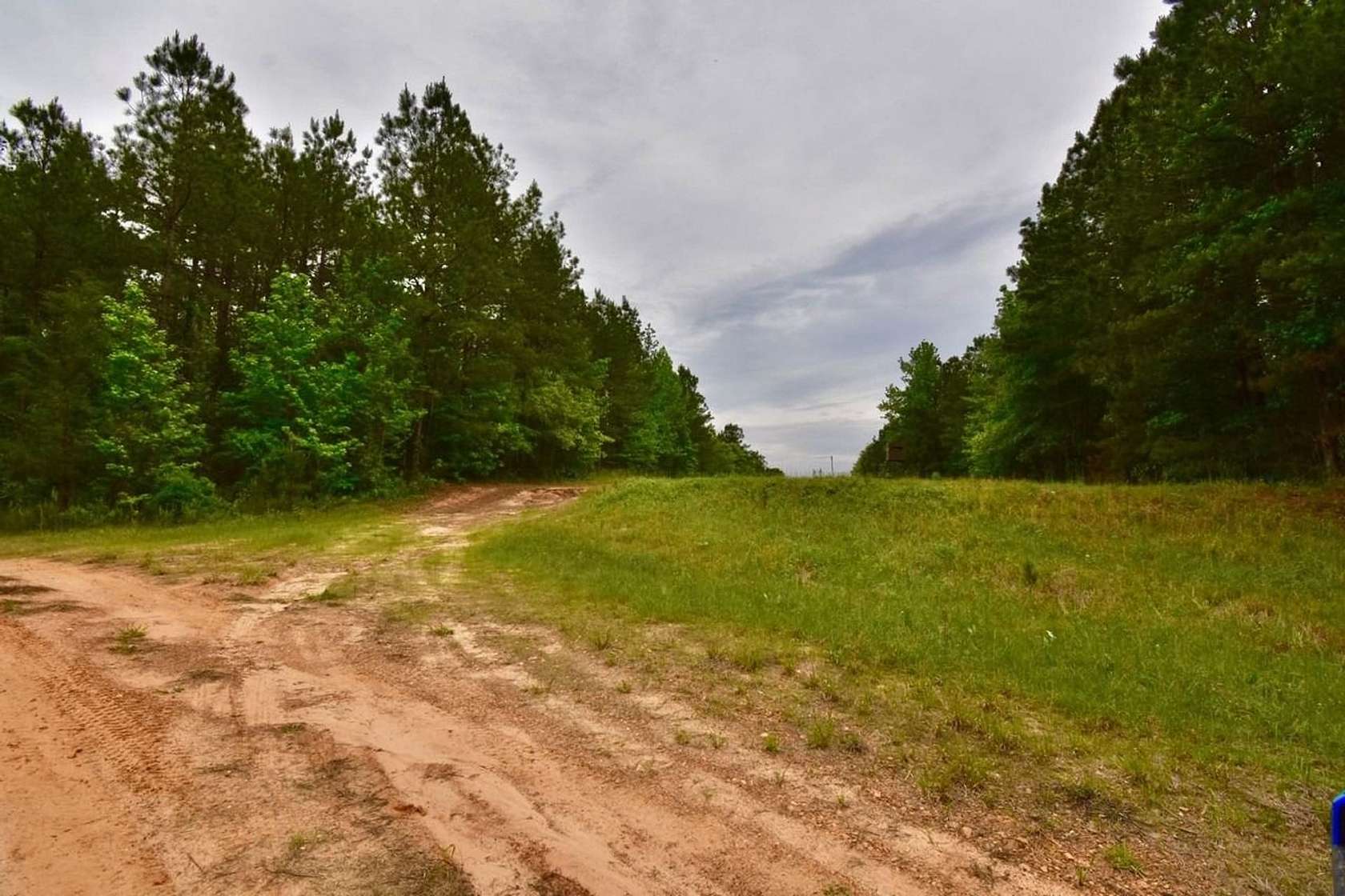 20 Acres of Recreational Land for Sale in Willisville, Arkansas