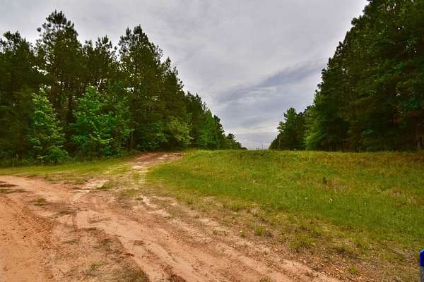 20 Acres of Recreational Land for Sale in Willisville, Arkansas