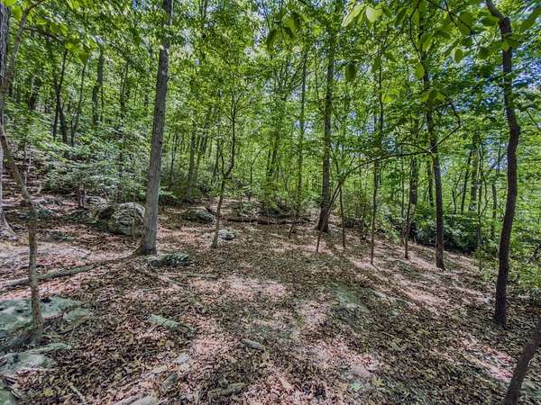 29.9 Acres of Recreational & Residential Land for Sale in Asheboro, North Carolina