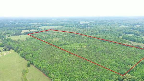 36.7 Acres of Recreational & Residential Land for Sale in Naples, Texas