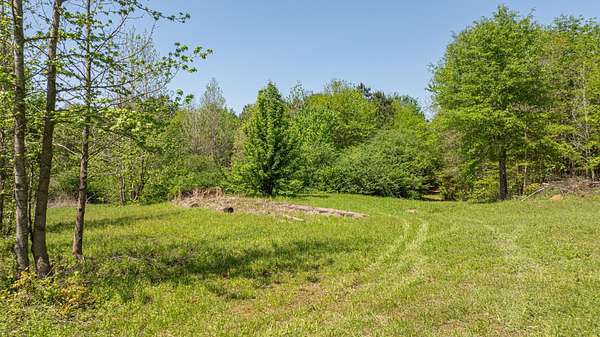 49.8 Acres of Land for Sale in Daingerfield, Texas