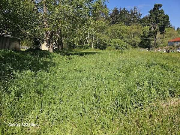 0.29 Acres of Mixed-Use Land for Sale in Crescent City, California