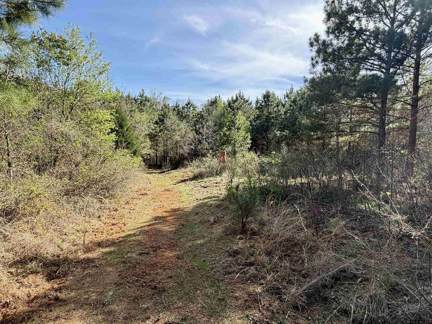 100 Acres of Recreational & Residential Land for Sale in Pittsburg, Texas