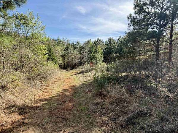 100 Acres of Recreational & Residential Land for Sale in Pittsburg, Texas