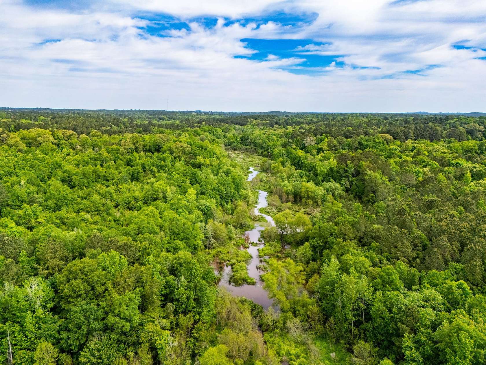 63.8 Acres of Recreational Land for Sale in Gladewater, Texas