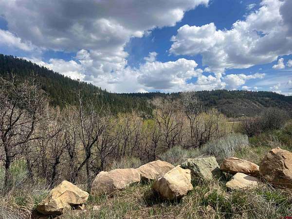 34.6 Acres of Recreational & Residential Land for Sale in Dolores, Colorado