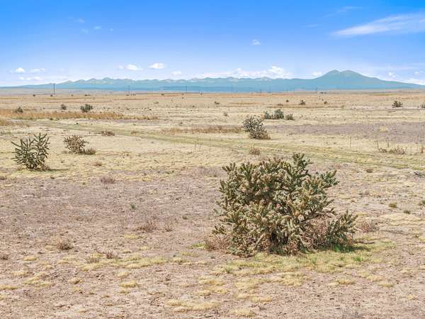 35 Acres of Land for Sale in Model, Colorado