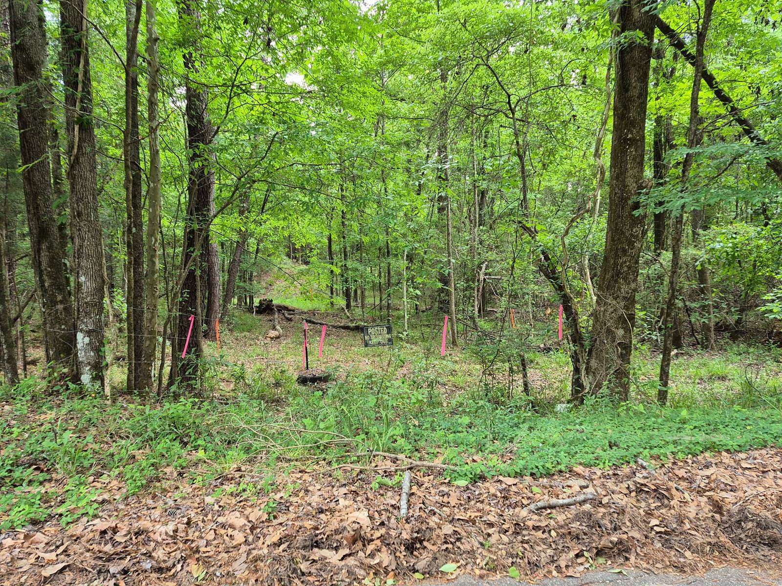 Land for Sale in Jackson, Alabama