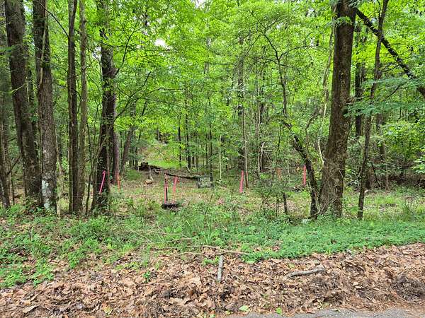 Land for Sale in Jackson, Alabama