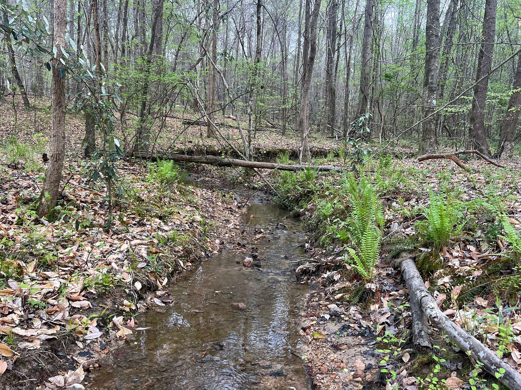 17.5 Acres of Land for Sale in Jacksons' Gap, Alabama