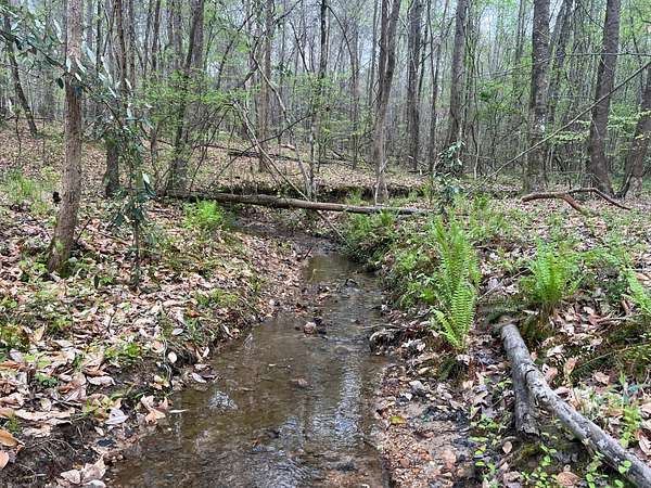 17.5 Acres of Land for Sale in Jacksons' Gap, Alabama