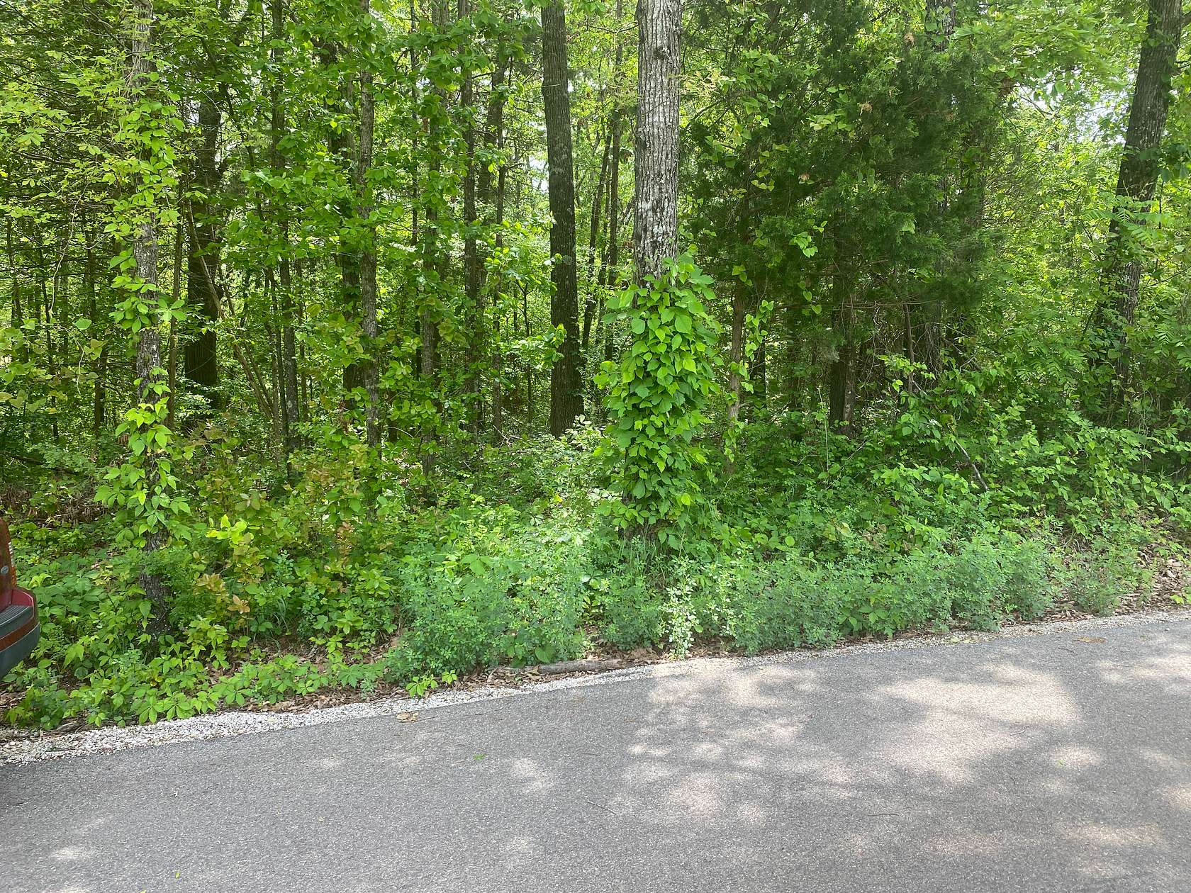 1 Acre of Land for Sale in Pineville, Arkansas