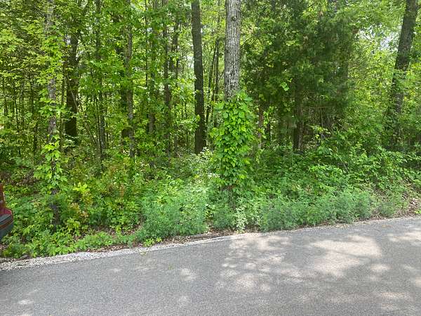 1 Acre of Land for Sale in Pineville, Arkansas