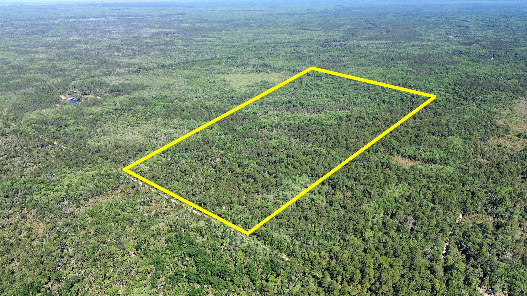 111 Acres of Land for Sale in Chiefland, Florida