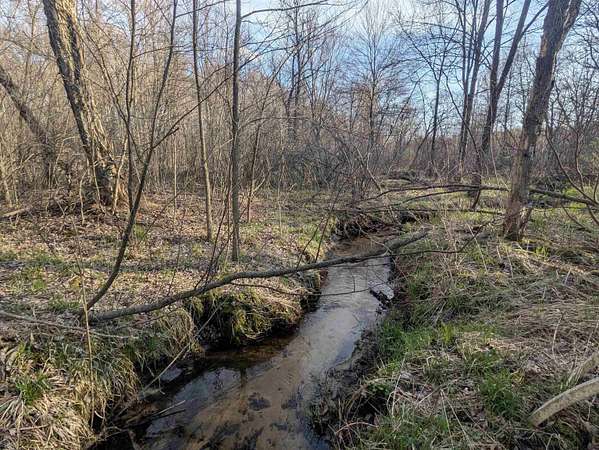 5 Acres of Land for Sale in Oxford, Wisconsin