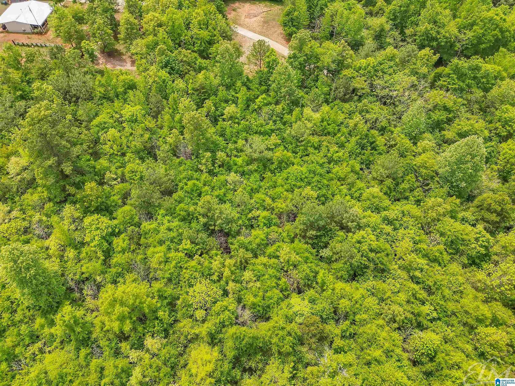 6 Acres of Residential Land for Sale in Brierfield, Alabama