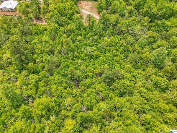 6 Acres of Residential Land for Sale in Brierfield, Alabama