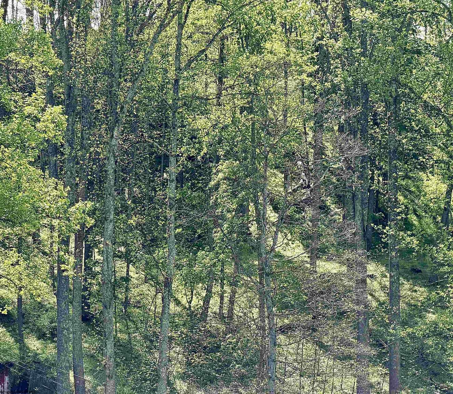 0.1 Acres of Residential Land for Sale in West Union, West Virginia