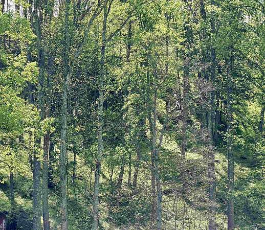 0.1 Acres of Residential Land for Sale in West Union, West Virginia