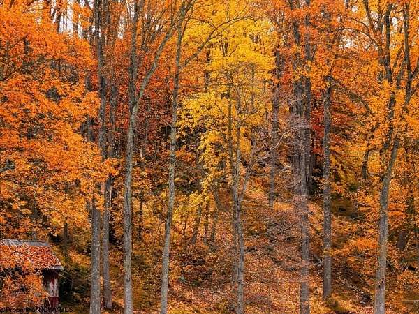 0.1 Acres of Residential Land for Sale in West Union, West Virginia