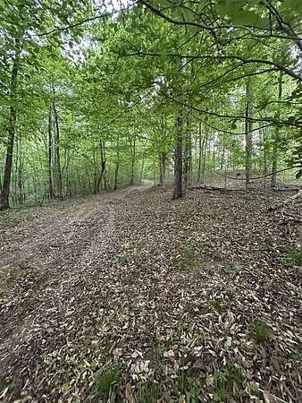 10.7 Acres of Land for Sale in Scottsville, Kentucky