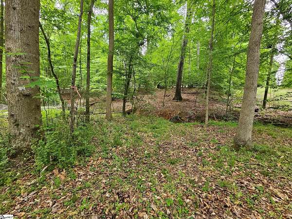6.13 Acres of Residential Land for Sale in Fountain Inn, South Carolina