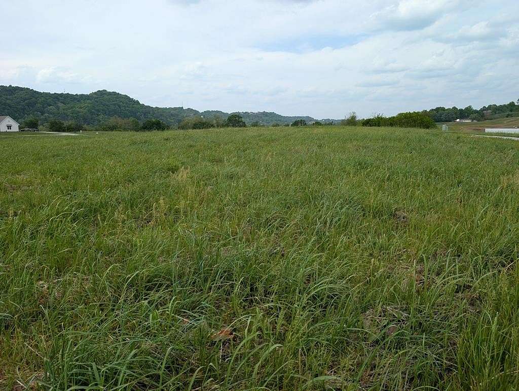 Residential Land for Sale in Burkesville, Kentucky