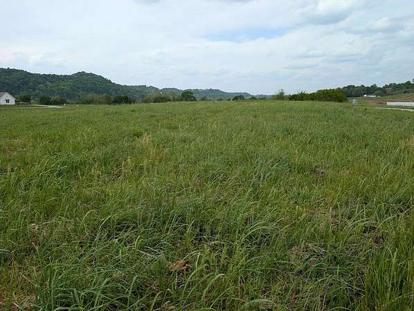 Residential Land for Sale in Burkesville, Kentucky