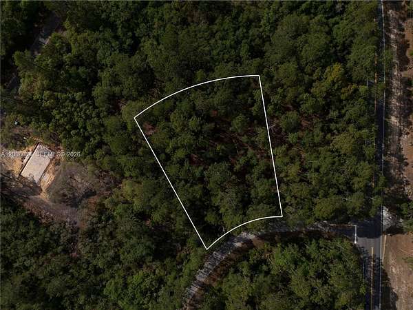 0.3 Acres of Residential Land for Sale in Ocklawaha, Florida