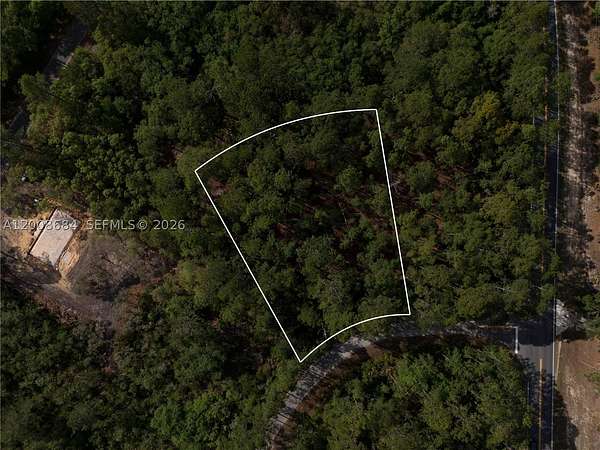 0.3 Acres of Residential Land for Sale in Ocklawaha, Florida