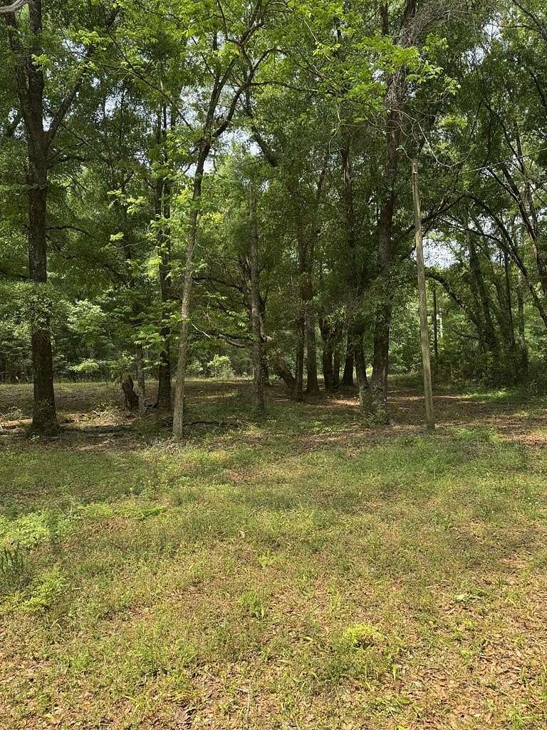 10 Acres of Land for Sale in Hartford, Alabama