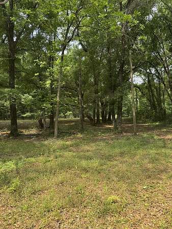 10 Acres of Land for Sale in Hartford, Alabama