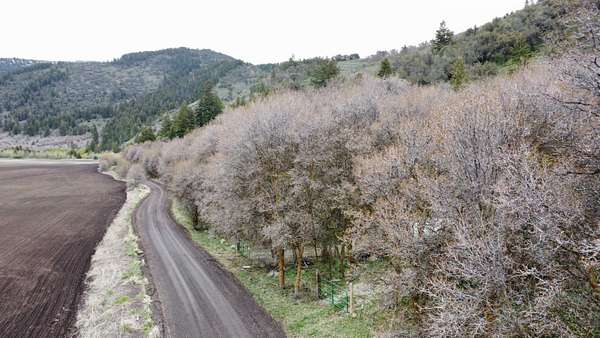 12.3 Acres of Land for Sale in Grace, Idaho